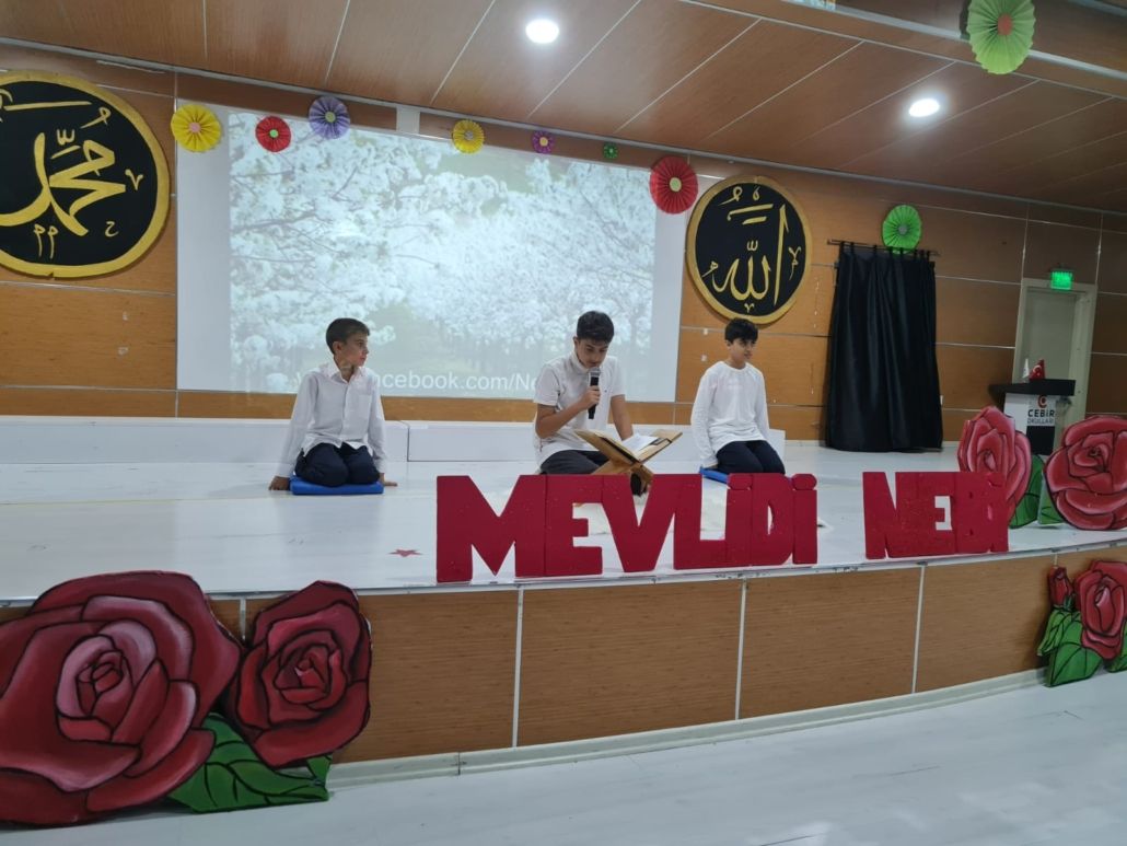 MEVLD- NEB